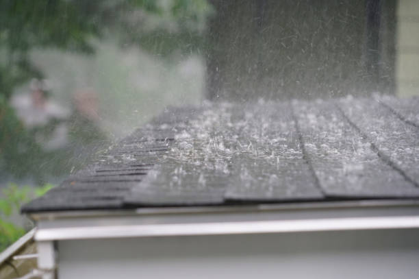 Best Storm Damage Roof Repair  in Douglass, KS