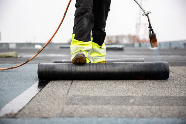Best Roof Insulation Installation  in Douglass, KS